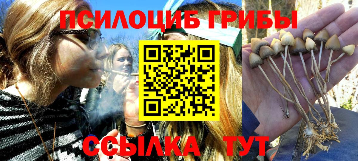 Галлюциногенные грибы MAGIC MUSHROOMS  купить наркоту  Ивантеевка  Галлюциногенные грибы Psilocybe  Вход с VPN 